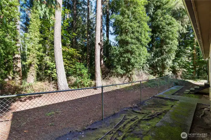 Side yard view with aggregate walk ways.