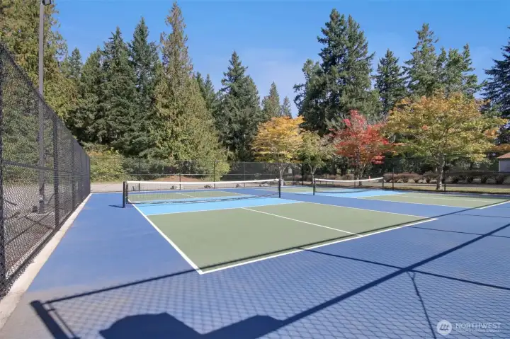 Community Sport Courts