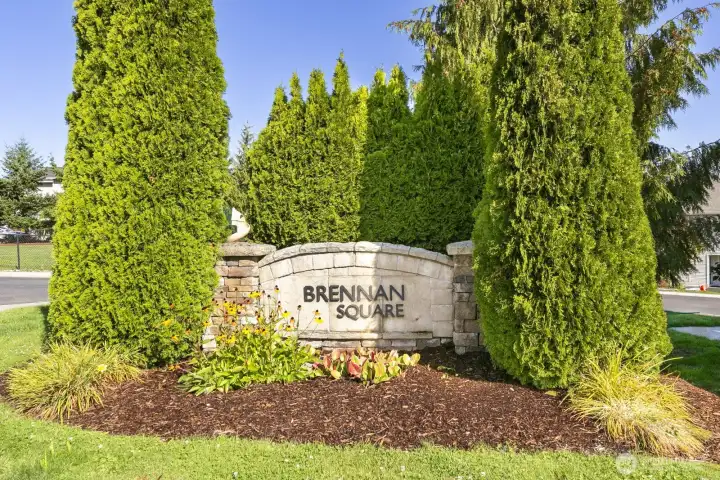 Welcome home to Brennan Square!