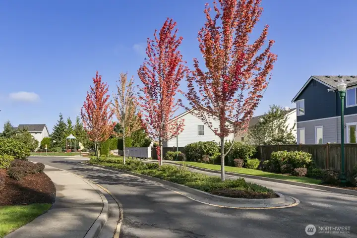 Lovely treelined entry