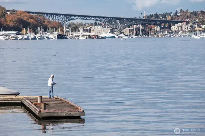 Public docks on Lake Union offer a front-row seat to the water for fishing, relaxing, or simply watching boats and wildlife drift by — all moments from the S.S. Guppy.