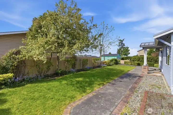 Level grass and planters with shrubs that offer garden feel and privacy.