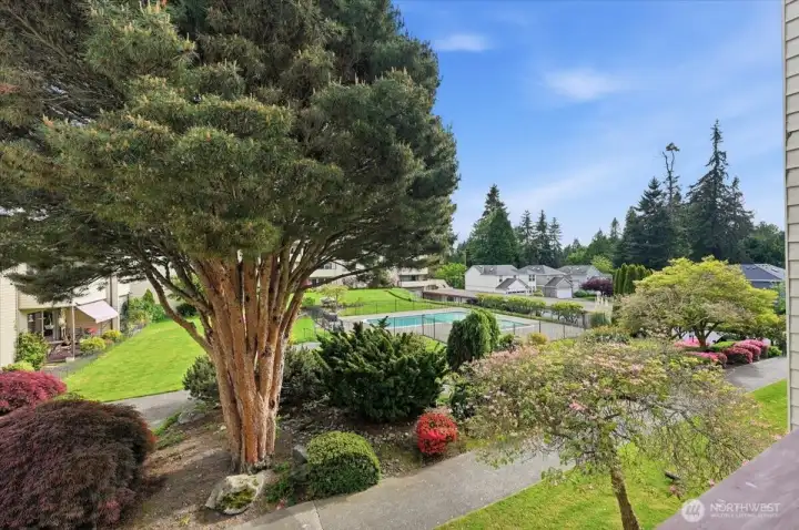 View from your private deck