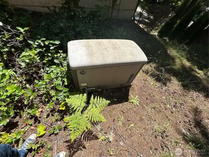 Wired in Generator