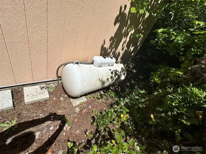 Propane is for the Generator