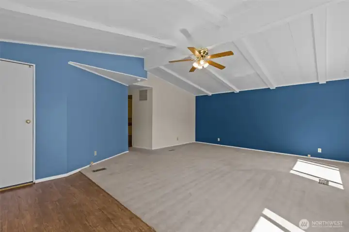 Ceiling fans