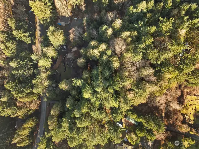 The lot has been respectfully cleared for a modern build site, but retains a natural-feeling forest environment.