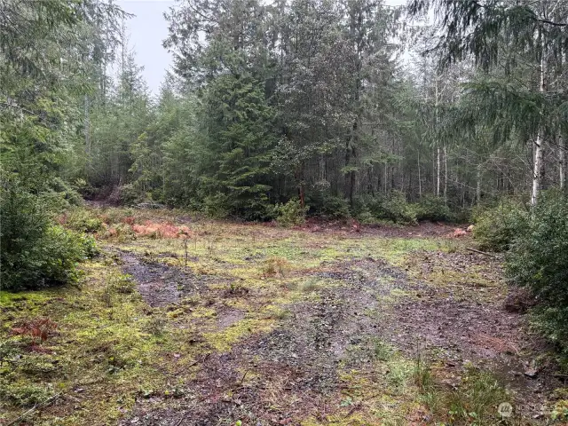 Cleared area, potential building site. Well site marked to left. Perk holes and septic designed to the right out of frame.