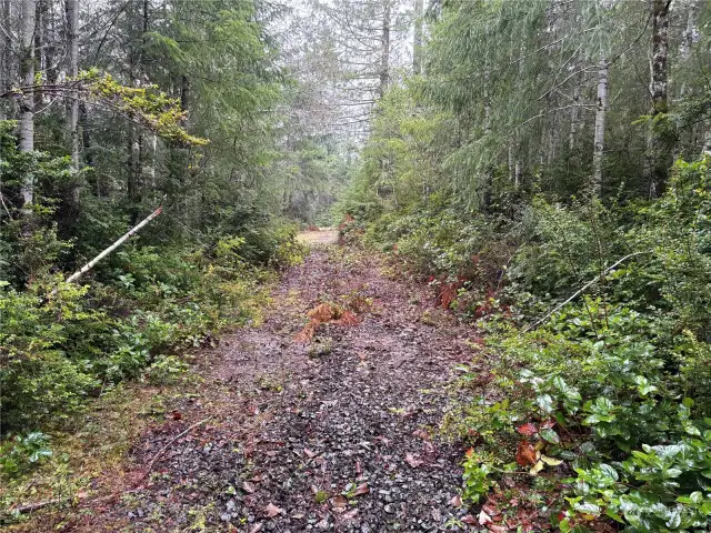 Entrance to cleared site.