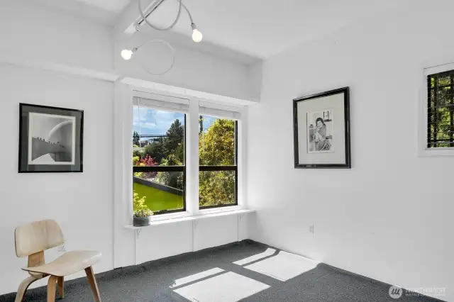 Lower level bedroom with South Facing windows.