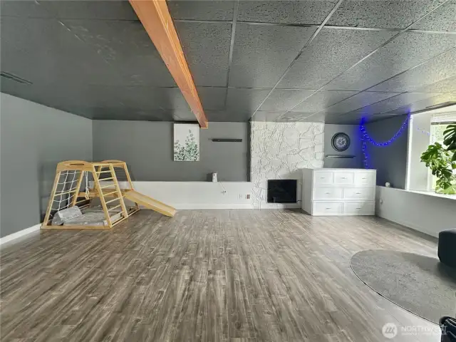 Big Bonus room downstairs with fireplace.