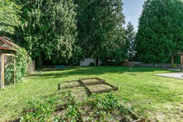 Garden and chicken coop