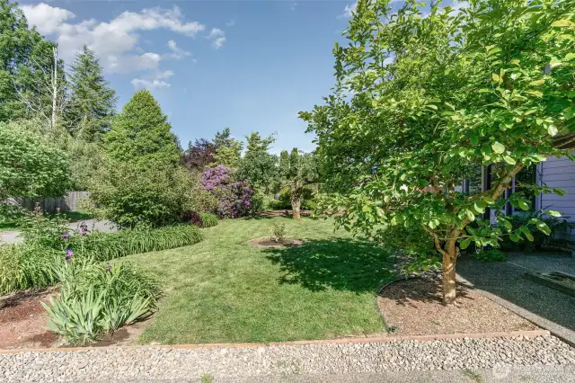 Beautiful front yard!