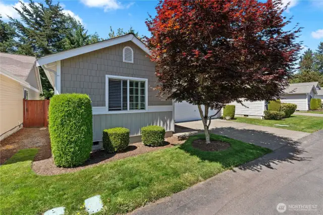 Enjoy the benefits of a detached condo lifestyle with low HOA dues that include front yard maintenance—leaving you more time to relax and enjoy.