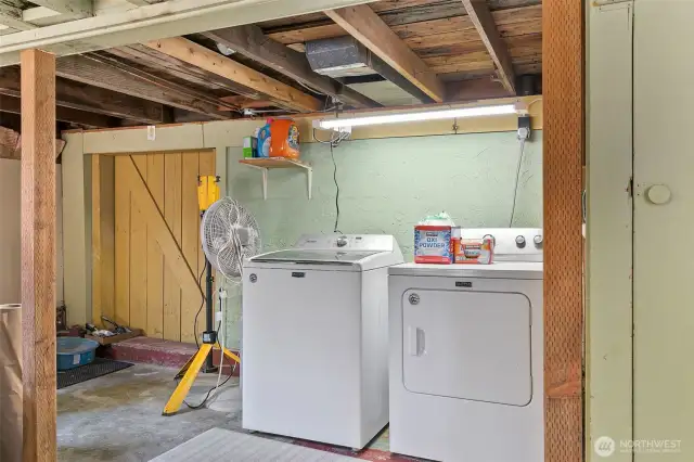Laundry area (basement)