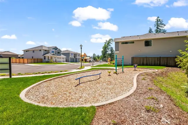 Community Park