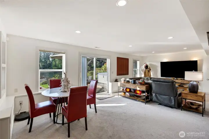 Lower Level Family Room