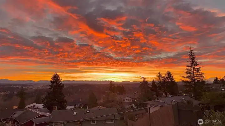 Unobstructed views brings great light to home and solar panels for low energy costs.