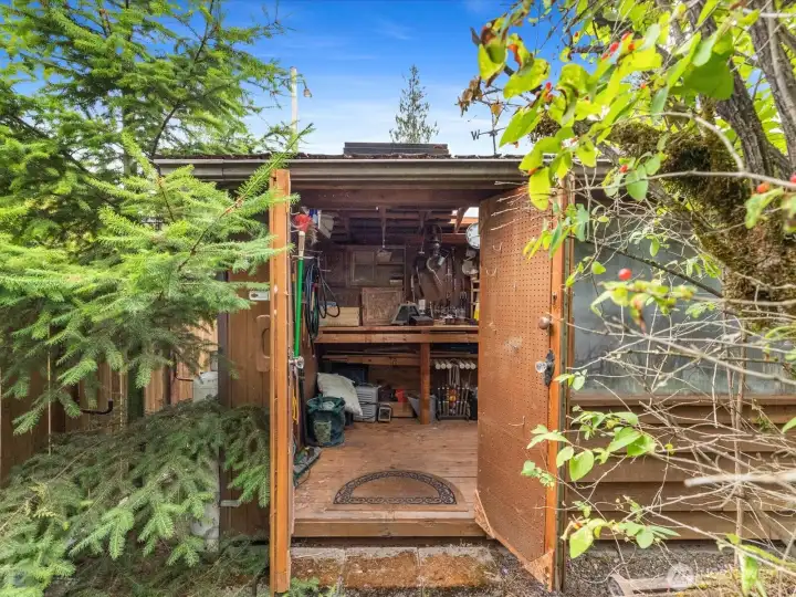 Detached Shed