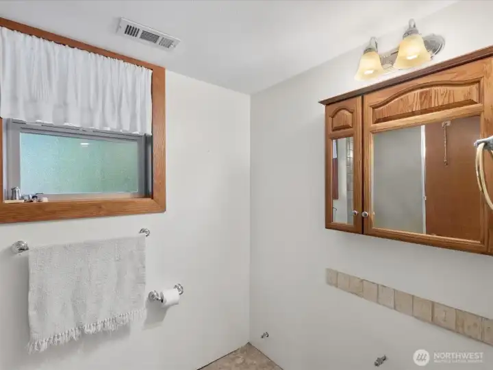 Basement Bathroom