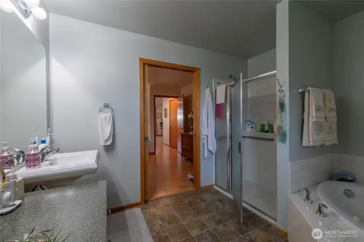 primary suite bathroom main floor