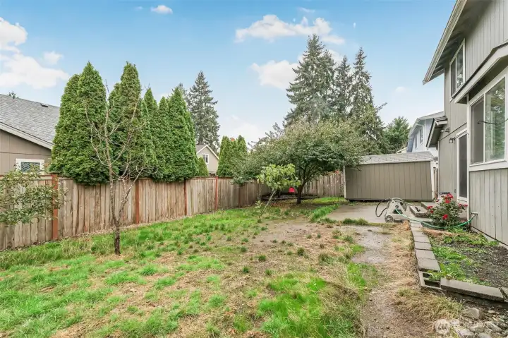 Back Yard