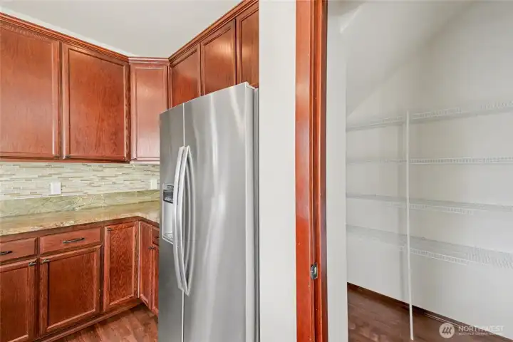 Don't forget the large walk-in pantry!