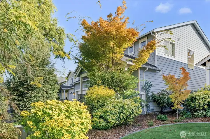 This view highlights the lush, mature landscaping that surrounds the home, creating a beautiful serene setting.