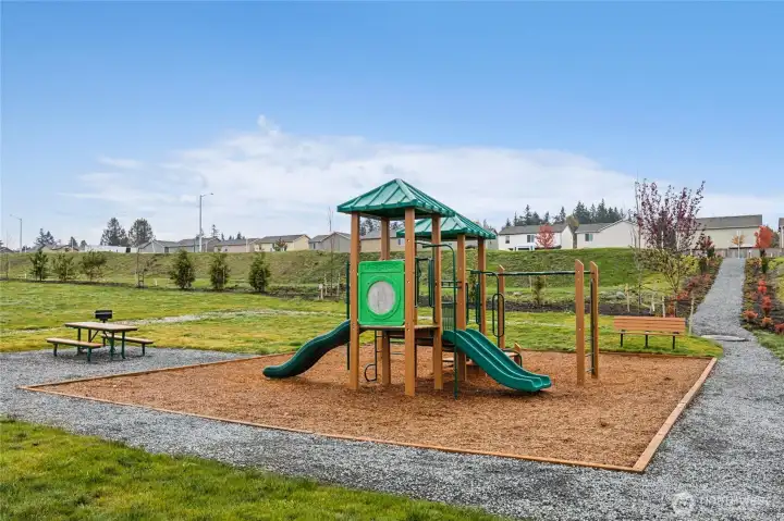 Neighborhood Parks and play structures, Picnic tables, Charcoal BBQs, Park Benches and trails.