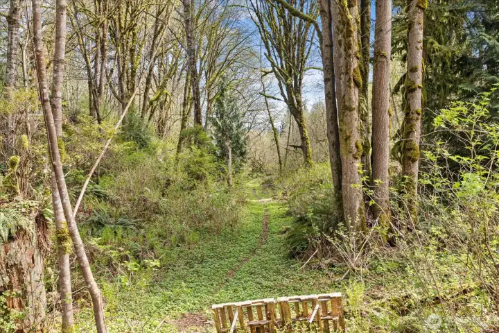 Walking trail down to the river!