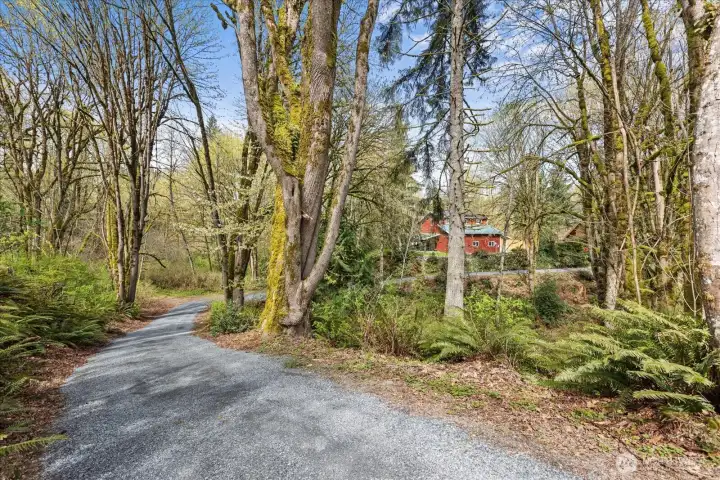 Looong driveway coming in