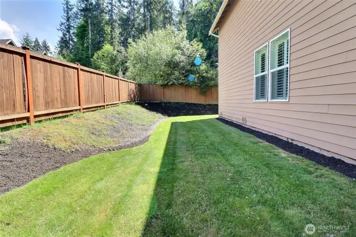 All the lawn games.