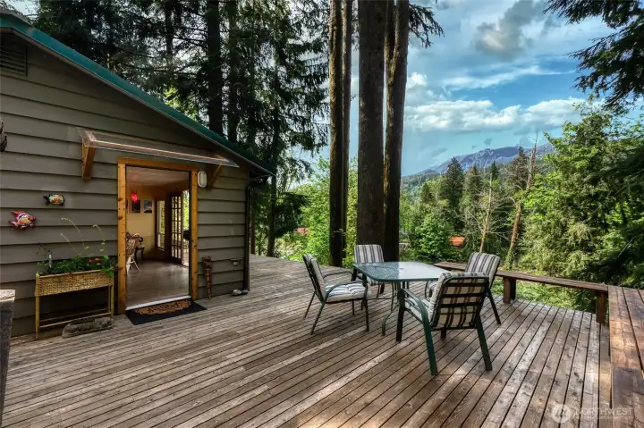 Expansive view deck offering a pristine mountain-ledge feel surrounded by evergreen canopy.