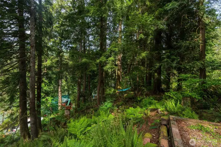 Low maintenance wooded canopy ~ perfect for hammock naps and wandering along private trails. Sale includes 3 lots.