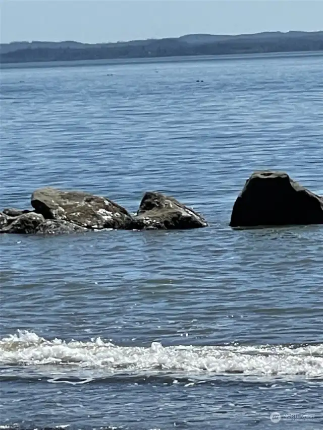 The picturesque Damon Point Beach.