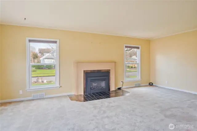 fire place gas remote