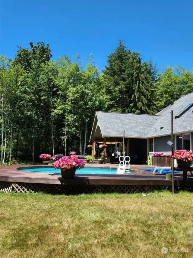 View of back yard & pool