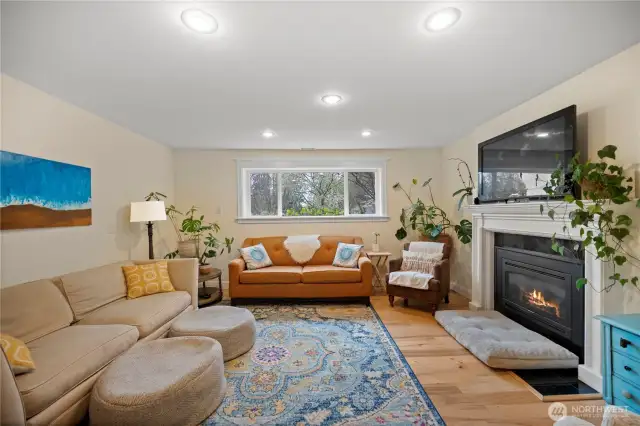 Basement Den/ Rec Room