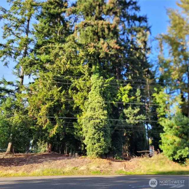 Across the street from the complex, secluded, private area.