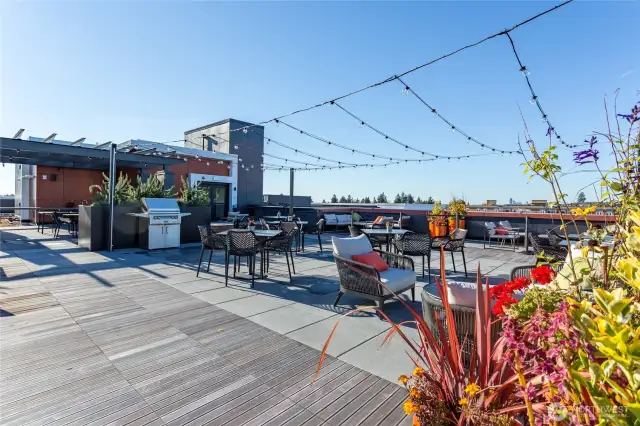 rooftop