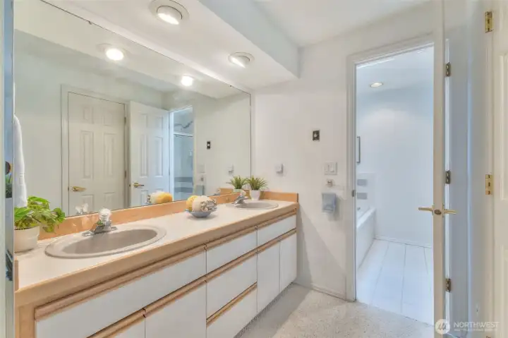 2 sink vanity. Door in reflection is to walk-in closet.