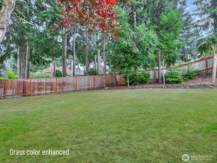Looking from the back deck toward the back fence.