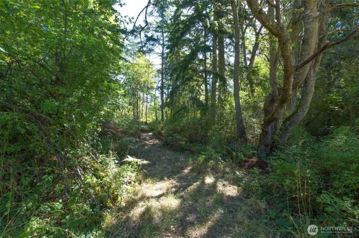 The property/trail as you enter from Spring Street.
