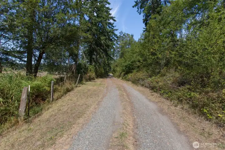 Spring Street on the back side of the property.