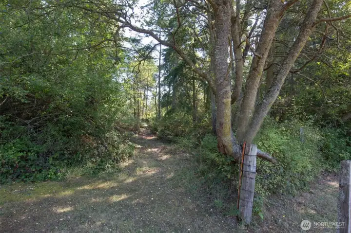 Entrance/trail to explore the property off of Spring Street.