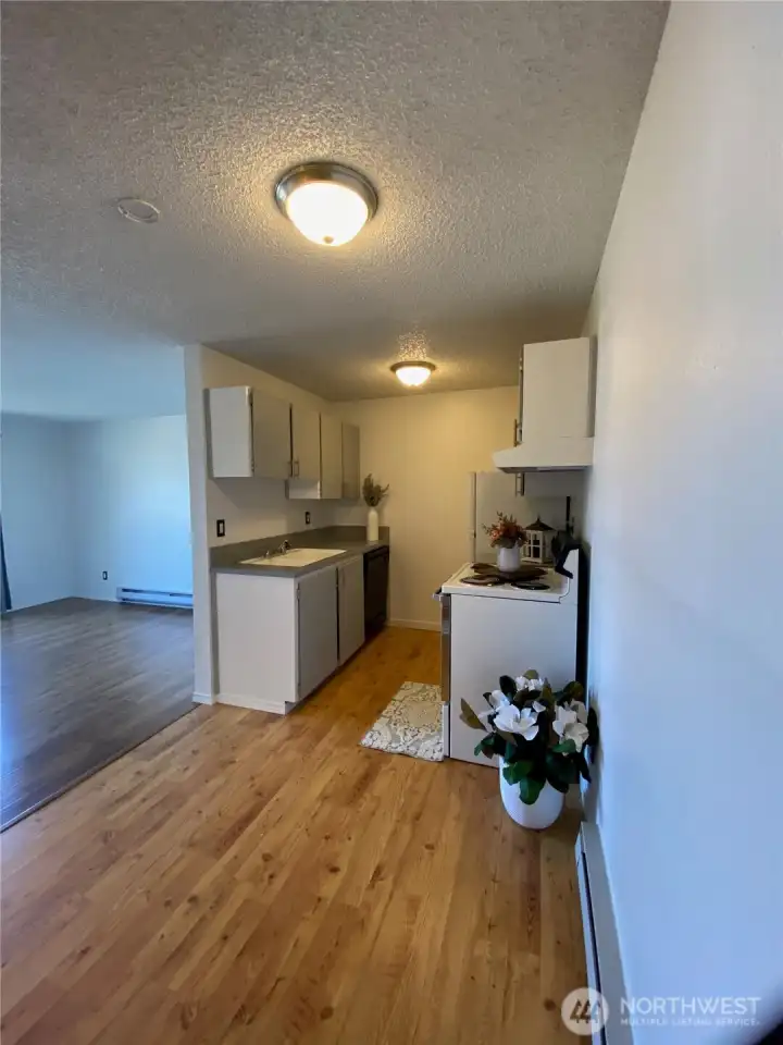 Wider view of kitchen