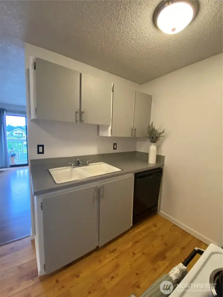 Kitchen has a dishwasher!