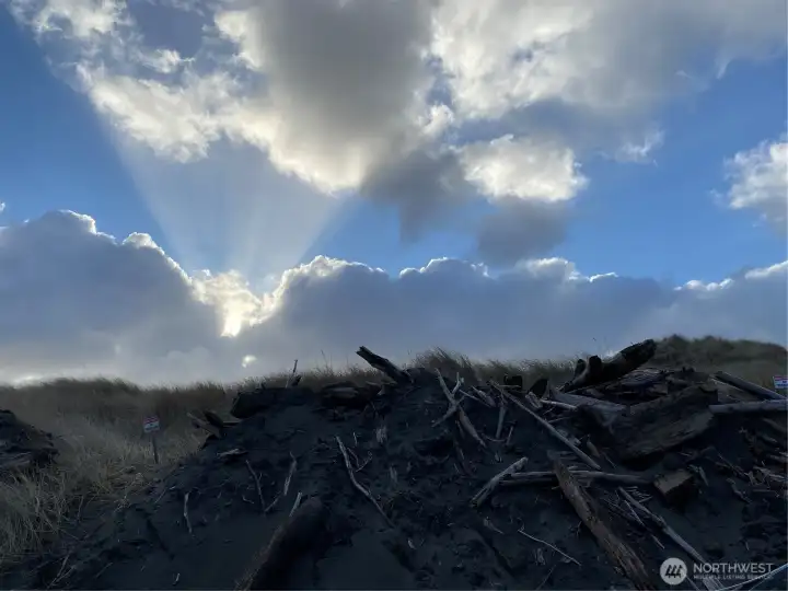 Ocean Shores beauty is amazing!