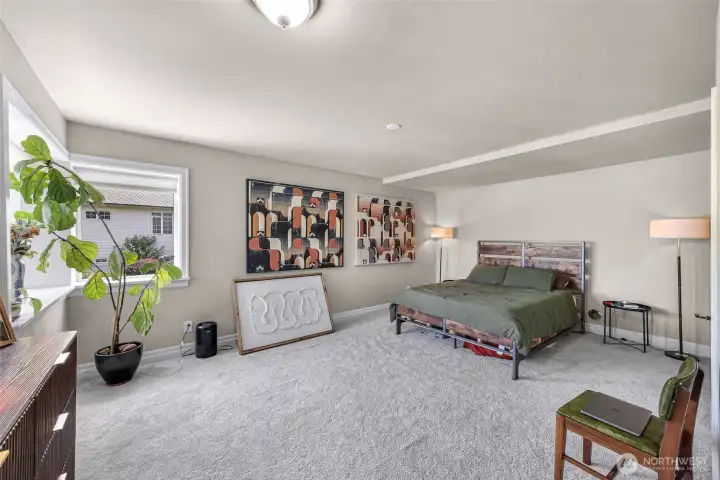 Downstairs ADU huge bedroom