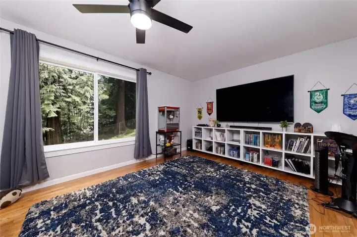 Lower level family room.